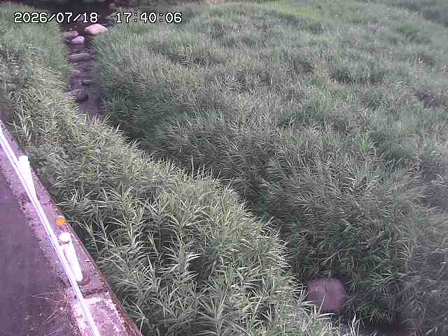 私都川７2026/07/18 20:50:00
