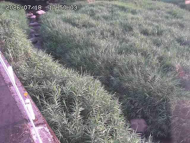私都川７2026/07/18 20:50:00