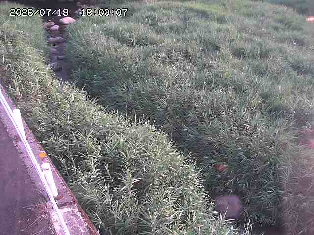 私都川７2026/07/18 20:50:00