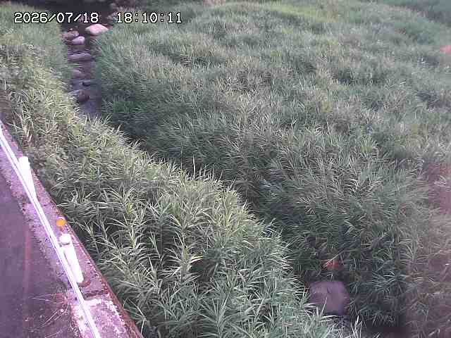 私都川７2026/07/18 20:50:00