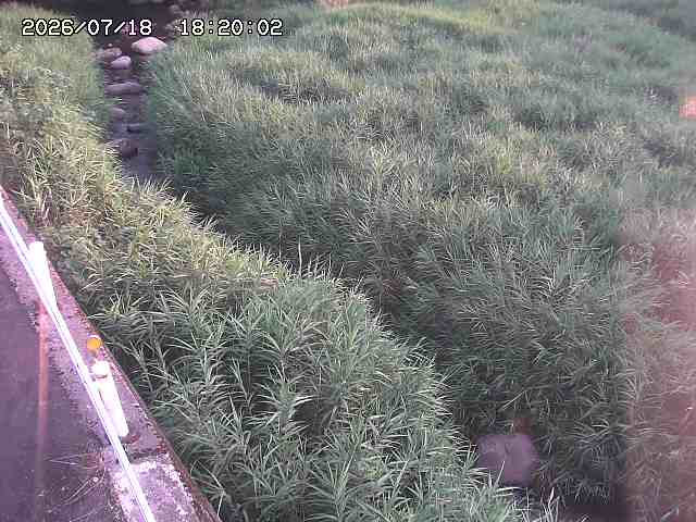 私都川７2026/07/18 20:50:00