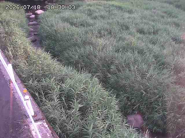 私都川７2026/07/18 20:50:00