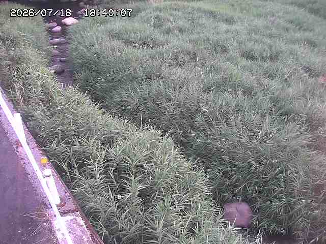 私都川７2026/07/18 20:50:00