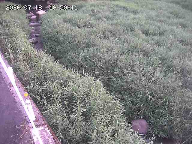 私都川７2026/07/18 20:50:00