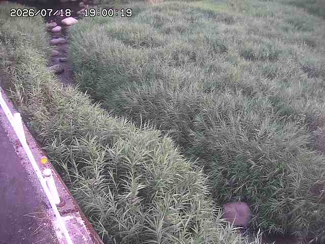 私都川７2026/07/18 20:50:00