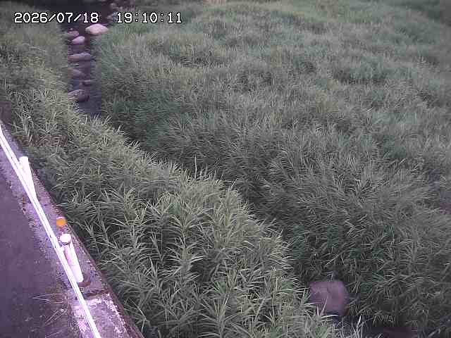 私都川７2026/07/18 20:50:00