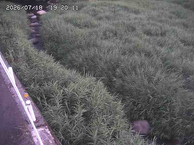 私都川７2026/07/18 20:50:00