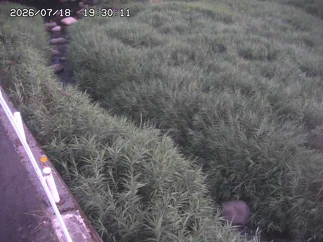 私都川７2026/07/18 20:50:00
