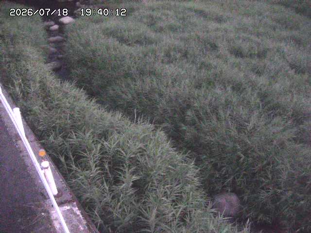 私都川７2026/07/18 20:50:00