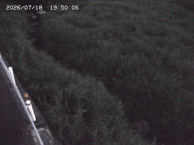 私都川７2026/07/18 20:50:00