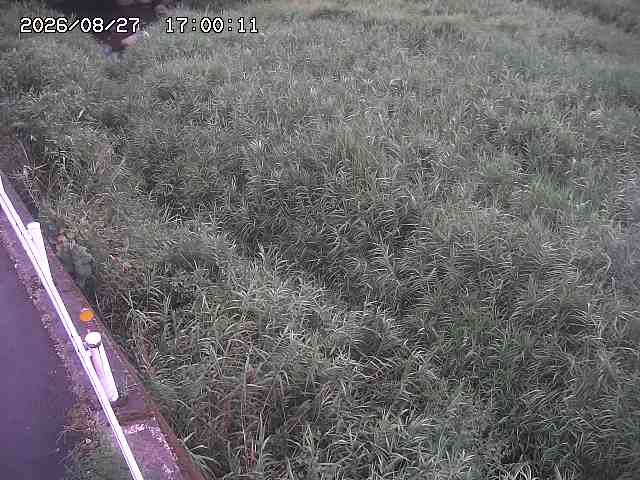 私都川７2026/08/28 17:30:00