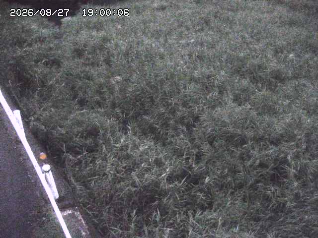 私都川７2026/08/28 17:30:00