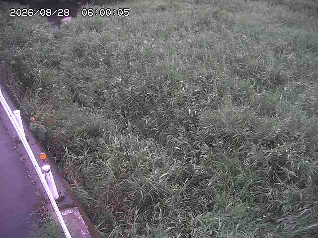 私都川７2026/08/28 17:30:00
