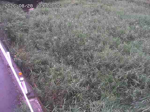 私都川７2026/08/28 17:30:00