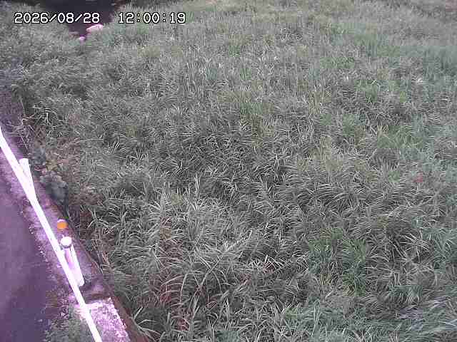 私都川７2026/08/28 17:30:00