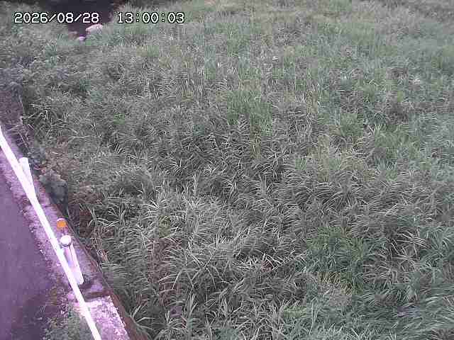 私都川７2026/08/28 17:30:00