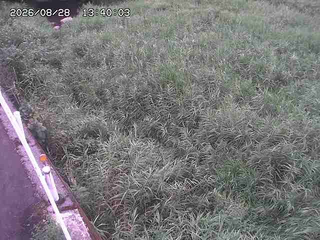 私都川７2026/08/28 17:30:00