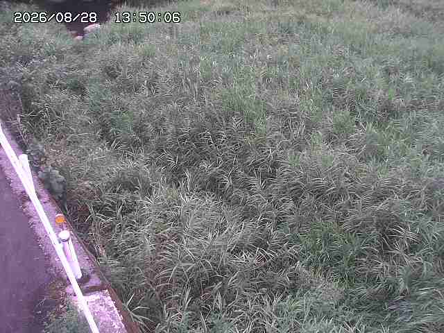 私都川７2026/08/28 17:30:00