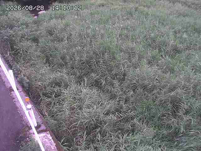 私都川７2026/08/28 17:30:00