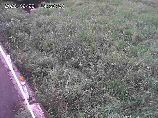 私都川７2026/08/28 17:30:00