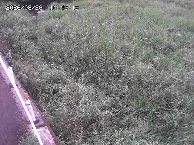 私都川７2026/08/28 17:30:00