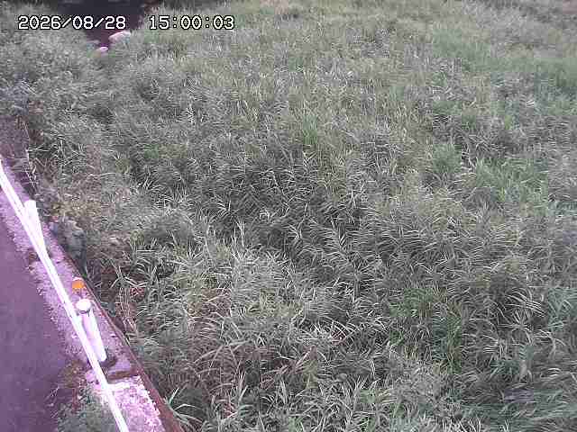 私都川７2026/08/28 17:30:00