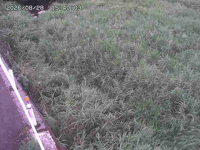 私都川７2026/08/28 17:30:00