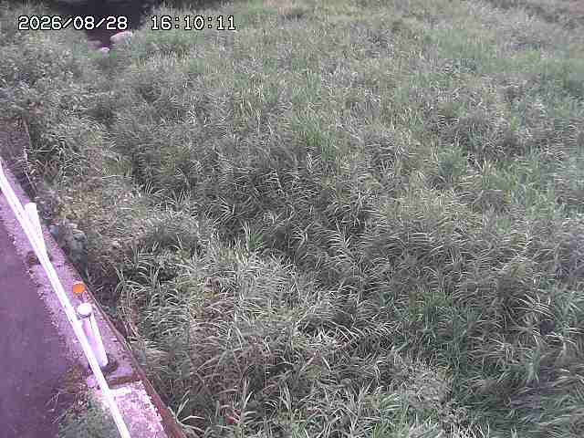 私都川７2026/08/28 17:30:00