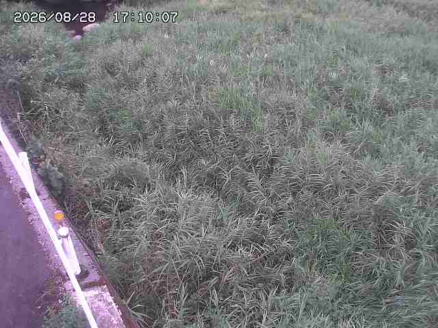 私都川７2026/08/28 17:30:00