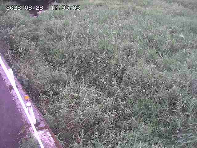 私都川７2026/08/28 17:30:00