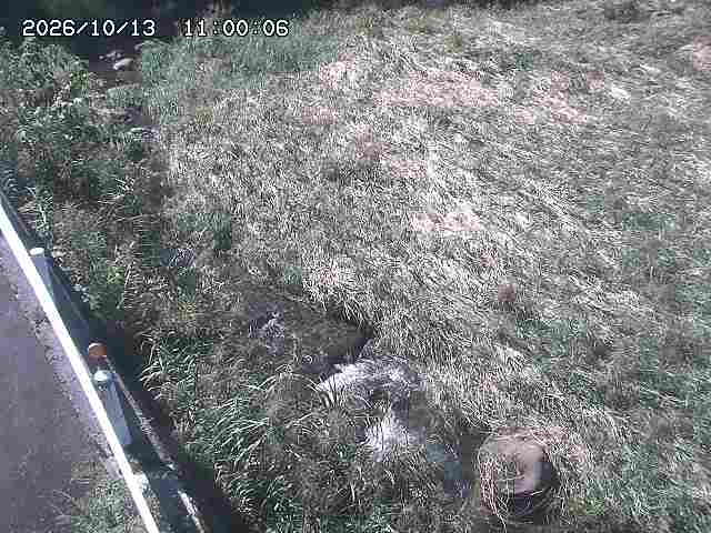 私都川７2026/10/13 14:30:00