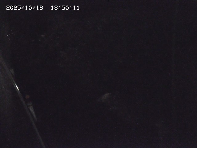 私都川７2025/10/18 20:30:00