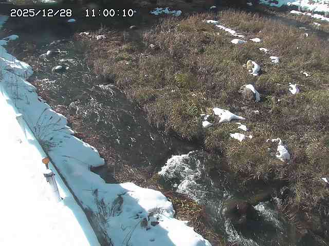 私都川７2025/12/29 10:00:00