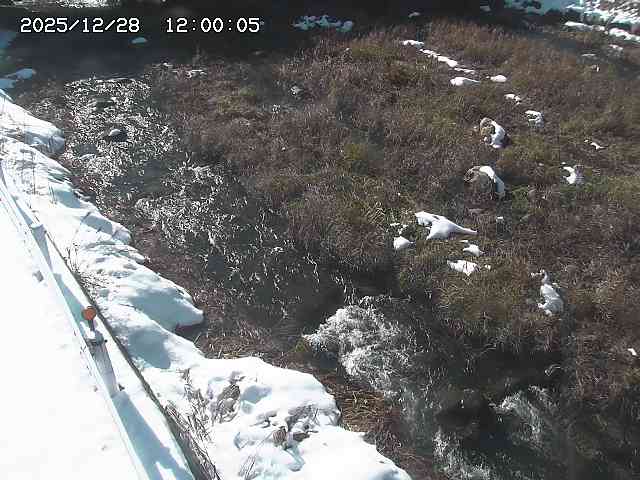 私都川７2025/12/29 10:00:00