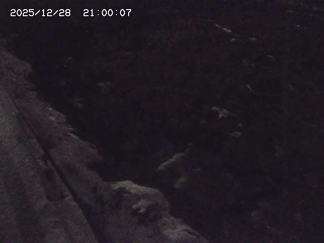 私都川７2025/12/29 10:00:00