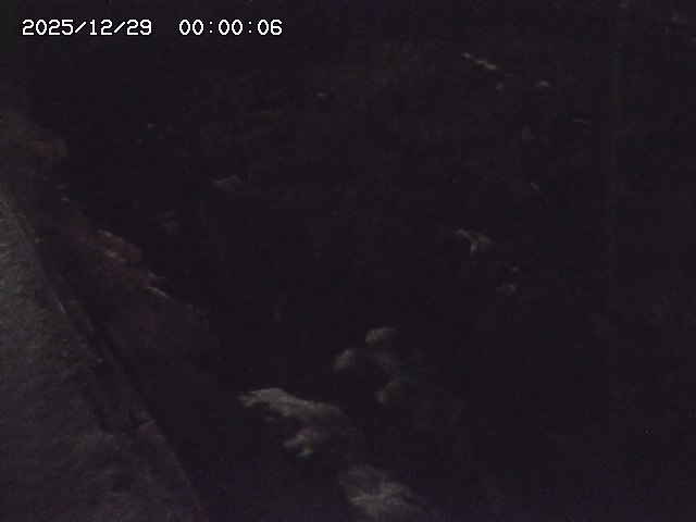 私都川７2025/12/29 10:00:00