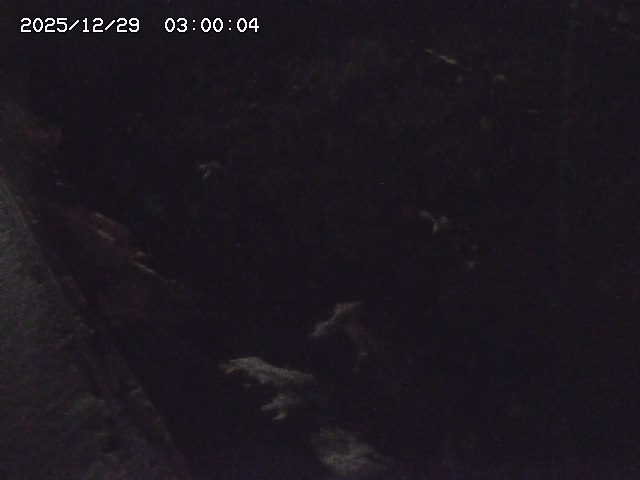 私都川７2025/12/29 10:00:00