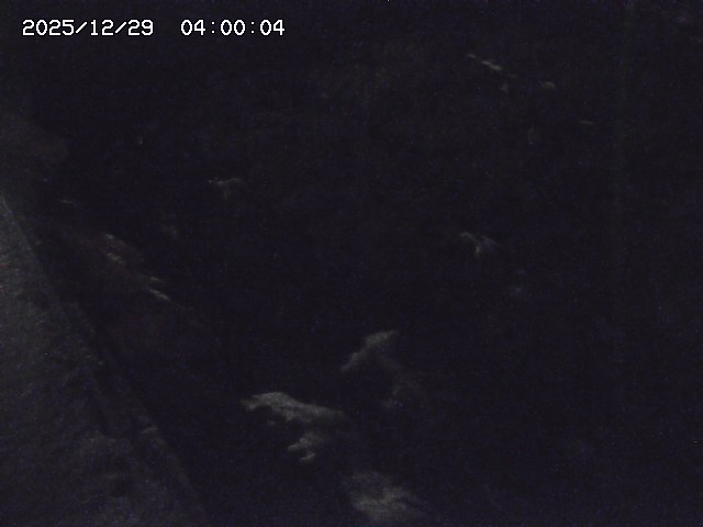 私都川７2025/12/29 10:00:00