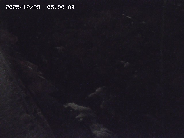 私都川７2025/12/29 10:00:00