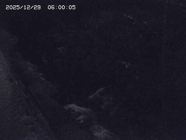 私都川７2025/12/29 10:00:00