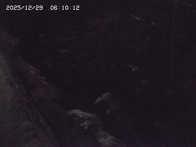 私都川７2025/12/29 10:00:00