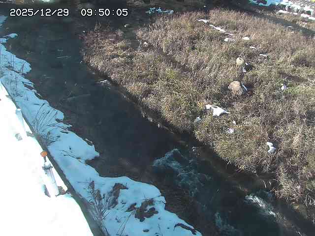 私都川７2025/12/29 10:00:00