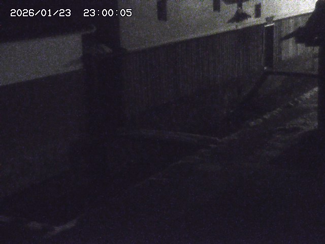玉川１（下流）2026/01/24 2:40:00