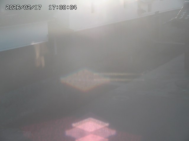 玉川１（下流）2026/02/17 18:30:00