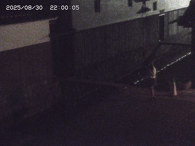 玉川１（下流）2025/08/31 9:20:00
