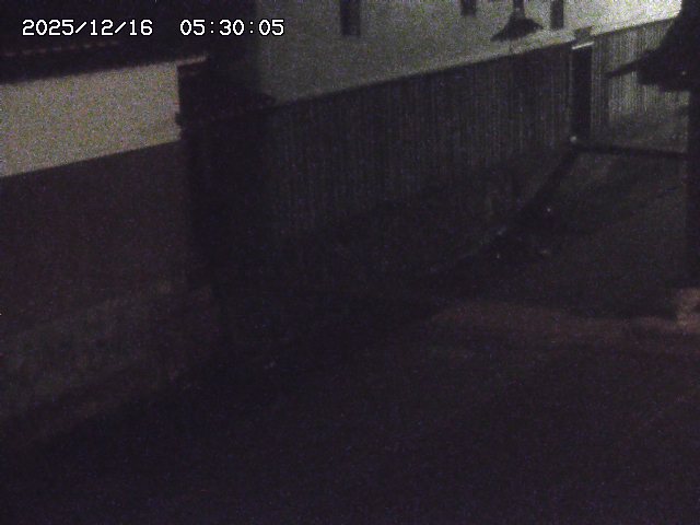 玉川１（下流）2025/12/16 8:50:00