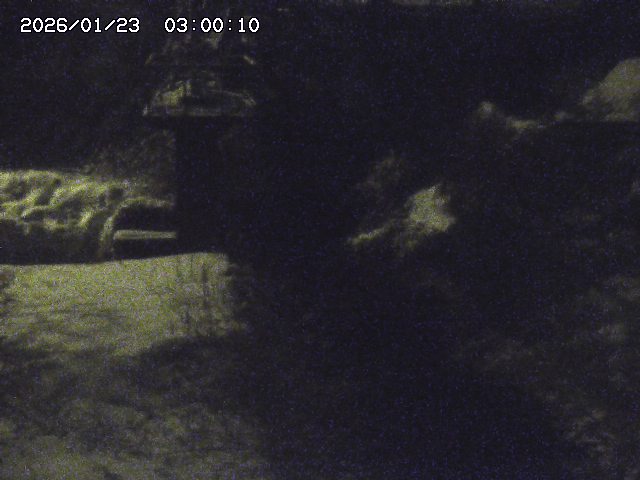 玉川３（上流）2026/01/24 3:00:00