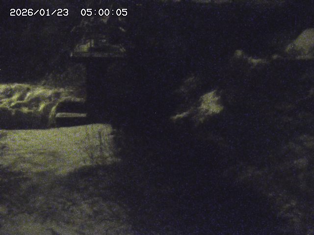 玉川３（上流）2026/01/24 3:00:00