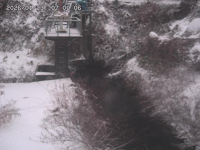 玉川３（上流）2026/01/24 3:00:00