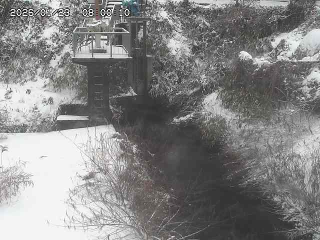 玉川３（上流）2026/01/24 3:00:00